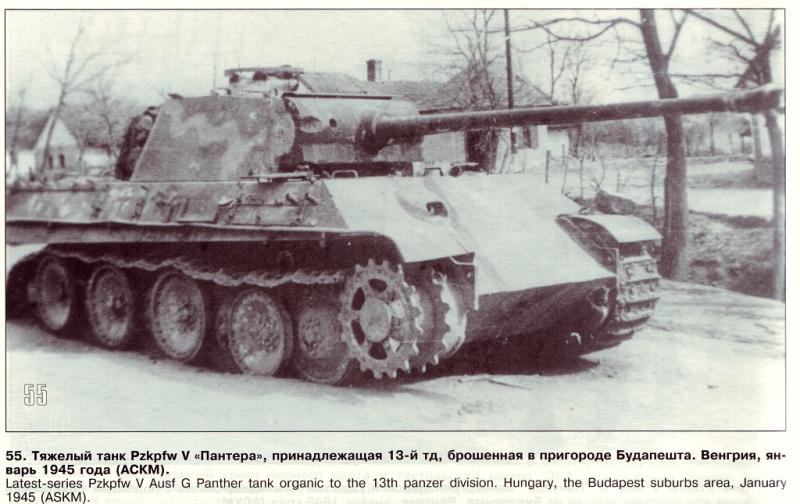Panther 13.Pz.Div. (1) edited

Ebben az esetben úgy látszik mégis a Militaria lesz pontosabb, amely szerint ez az 5.SS Pz.Regiment gépe volt. 