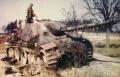 Jagdpanther_color