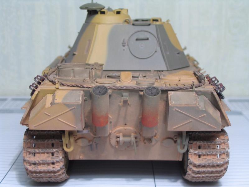 DML Panther G Late_048