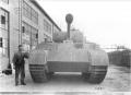 Pz. V Ausf. D_3