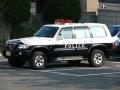 800px-Patrol_Car_of_Nissan_SAFARI_001