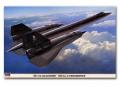 HAS00983_SR-71A Black Bird 