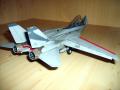 F14 Flircat 031j