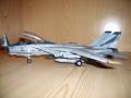 F14 Flircat 038j