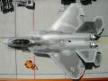 Hasegawa F-22  029