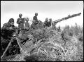 Hungarian AA Artillery, Don Front, 1942

When not attacked by Russian planes -- and for the Hungarian foot soldiers they were all called "Rata" -- the AA guns (probably Bofors here) were often pointed defensively at the Soviet ground forces. 

