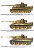 Kursk Tiger_4