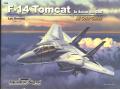 Squadron F-14 Tomcat  1000Ft