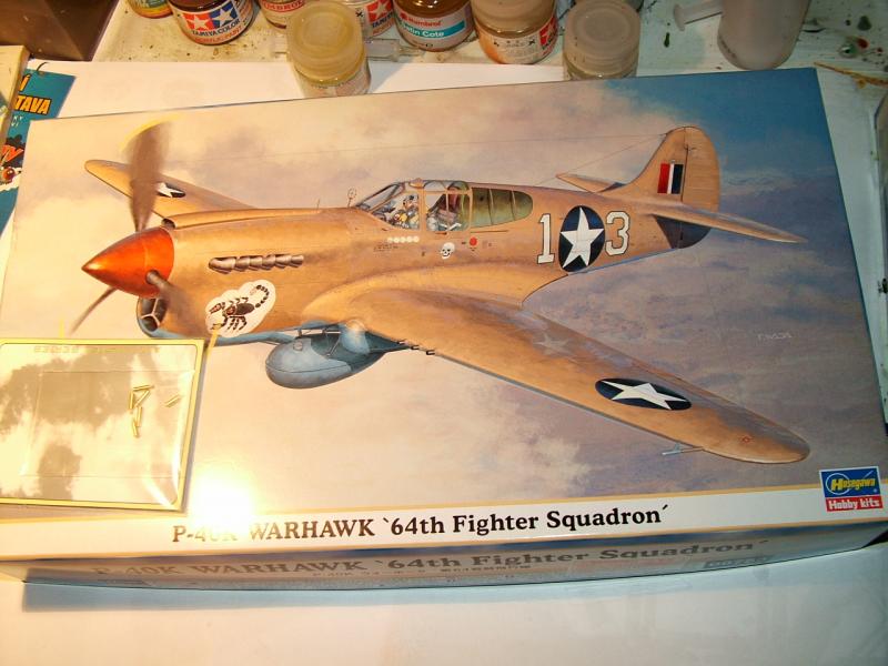 P-40K Warhawk

6000-