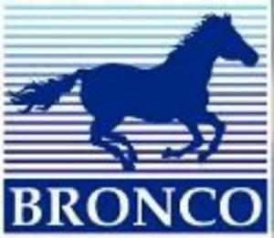 Bronco Logo LG