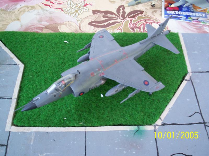 100_3992

Sea Harrier 1/48 kész makett 2200.-