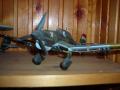 DSCN2114 Stuka