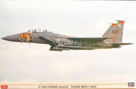 F-15E Strike Eagle Tiger Meet 2005.jpeg

1:48 Hasegawa 10.000,-Ft