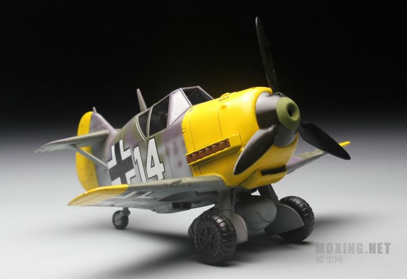 Bf-109_Tiger_Model_2990Ft_8