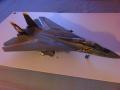 Italeri Tomcat 1/48

1200Ft