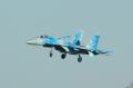Su-27 leszáll