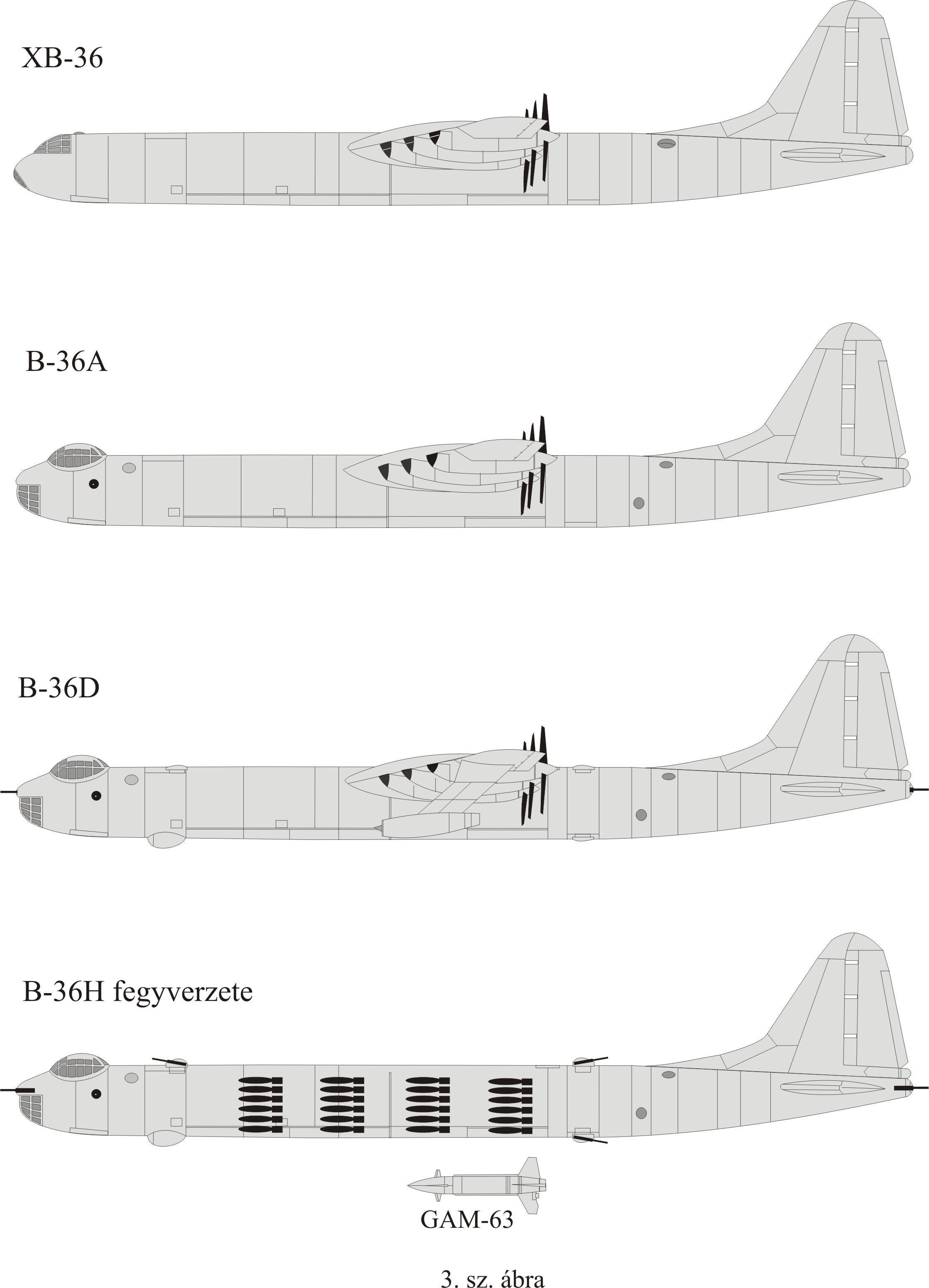 B- 36