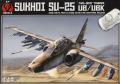 Su-25 + gyanta 

10.000 Ft