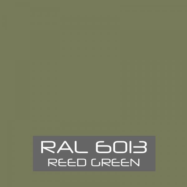 RAL-6013
