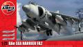 Sea Harrier

1:72 4000Ft