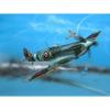 04164R_B

 Spitfire Mk.V
 1:72 - 2000ft