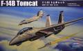 HB Tomcat