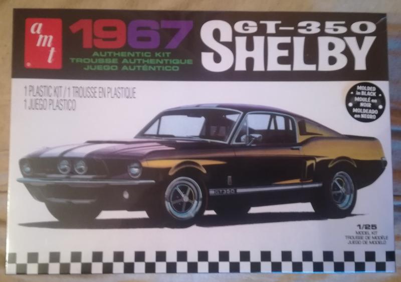 6000 Shelby