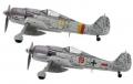 aoshima focke