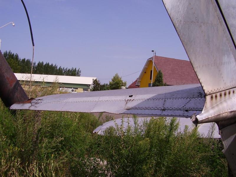 25270979