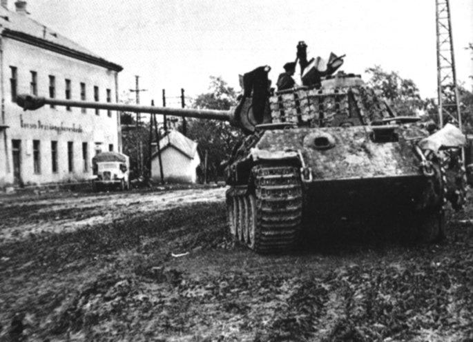 panther002