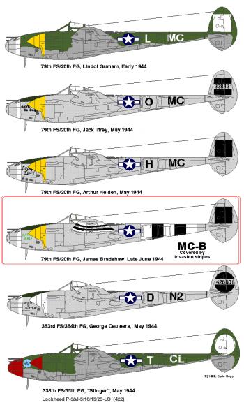 p-38

P-38J Gator bait