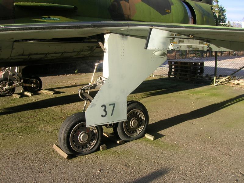 DSCN5239