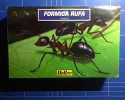 Heller - Formica rufa
(Lajos)