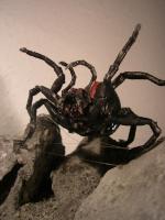 Shelob’s Lair – The Lord of the Rings- The Return of the Kings
(kocka)