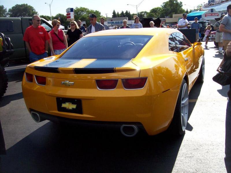 bumblebee