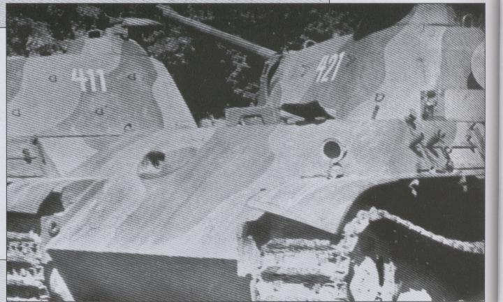 panthergirfin
