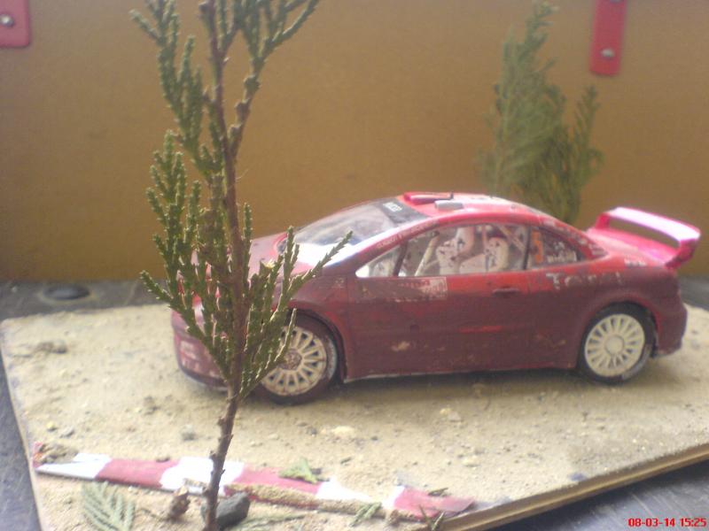 Peugeot  307  WRC