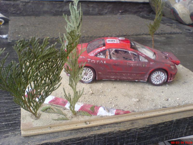 Peugeot  307  WRC