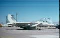 F-15A 74-110 LA 555TFTS SPLINTERCAMO
