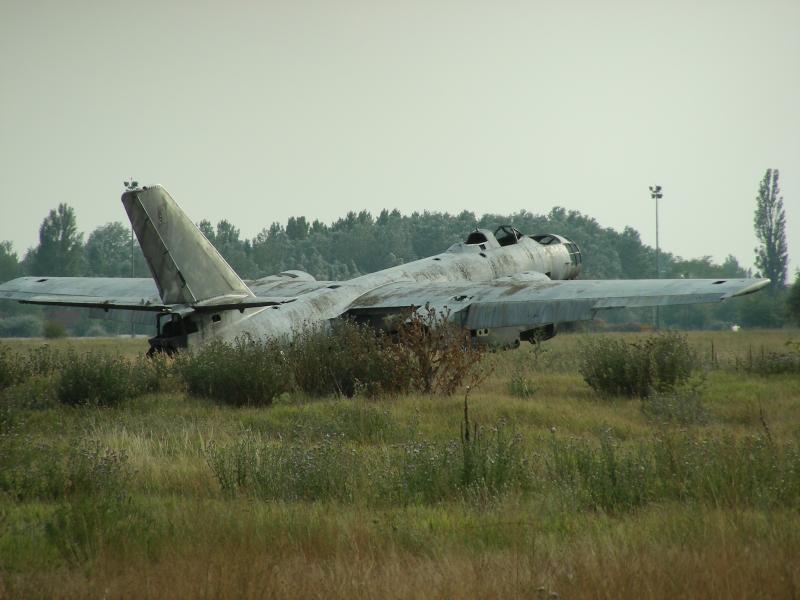 DSCN1917