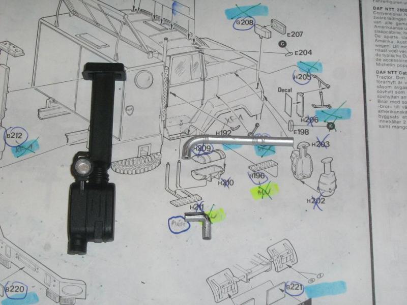 NTT 5