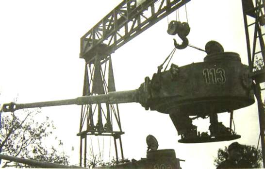 Tiger123_16

tf