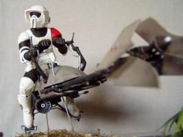 sw