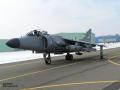 harrier002