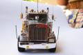Peterbilt 359 Bill Signs Trucking