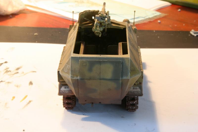 Sd.Kfz 251/10 Aus.f C pic2