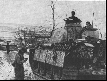 G   Párduc  V     9
