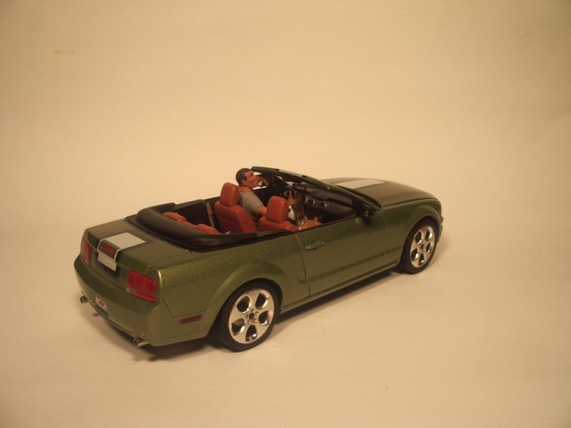 Ford Mustang Convertible 050b