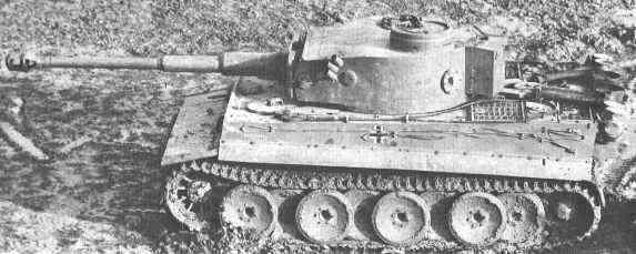 tiger_2_1