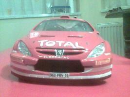peugeot 307 wrc

Tamiya 1/24